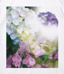 紫陽花の花のコラージュ柄のTシャツ